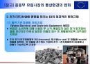 다국적 기업경영의 장단점과 문제점 16페이지