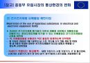 다국적 기업경영의 장단점과 문제점 17페이지