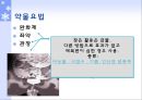 배설발표 마지막 111 15페이지