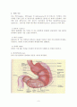 위암(Stomach cancer)과 위절제술(Gastrectomy) 3페이지