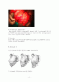 위암(Stomach cancer)과 위절제술(Gastrectomy) 17페이지