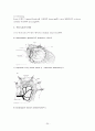 위암(Stomach cancer)과 위절제술(Gastrectomy) 20페이지