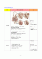 copd case(간호대학원) 11페이지
