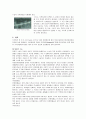 유방암 8페이지