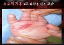 아동화상ppt 41페이지