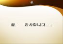 세계의 다문화 정책과 교육이론 및 경험.PPT자료 22페이지