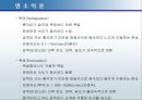 연소이론 17페이지