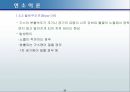 연소이론 28페이지