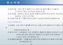 연소이론 42페이지