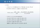 연소이론 51페이지