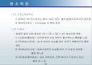 연소이론 59페이지