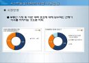 부동산 투자론 4.1부동산대책 8페이지