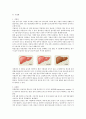 성인병의 종류와 증상 6페이지