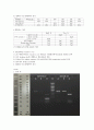 임분생 실험 - Molecular Genotyping of the ABO Blood Types 4페이지