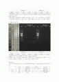 임분생 실험 - Molecular Genotyping of the ABO Blood Types 5페이지