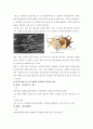 기초간호과학, 고위험모아간호학 C형, 정신건강과 간호 2페이지