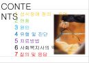 섭식장애 2페이지