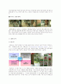 매일우유 마케팅전략(서론/자사분석/매일유업 전략/역사/거시환경분석/BCG매트릭스/광고분석/경쟁사분석/SWOT/STP/4P분석) 18페이지