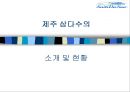 중소기업 사례분석 - 제주 삼다수 기업 분석 3페이지