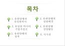 기업가 정신이 돋보이는 기업의 사례 - 유한양행[유일한 박사] 2페이지