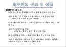 [흡착성재료] 활성탄에 대해서 6페이지