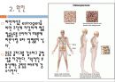골다공증. (Osteoporosis) 6페이지