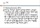 골다공증. (Osteoporosis) 19페이지