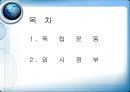 독립운동 ~ 임시정부  2페이지