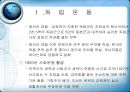독립운동 ~ 임시정부  5페이지