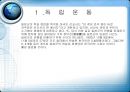 독립운동 ~ 임시정부  9페이지
