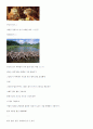 전압, 전류, 저항에 대하여 알아보자. 5페이지