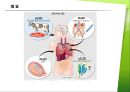 크로이츠펠트-야콥병 4페이지