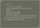 민주주의 모델들  10페이지
