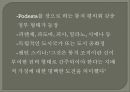 민주주의 모델들  11페이지