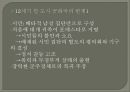 민주주의 모델들  12페이지