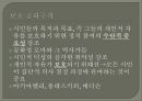 민주주의 모델들  16페이지