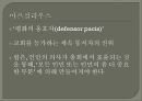 민주주의 모델들  18페이지