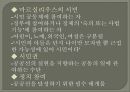 민주주의 모델들  20페이지