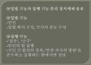민주주의 모델들  31페이지