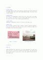 상해시  2페이지