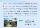 소크라테스  20페이지