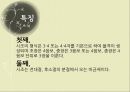 시조에 대하여  26페이지