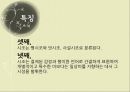 시조에 대하여  27페이지