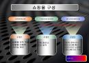 인터넷 쇼핑몰 사업계획서.ppt 10페이지