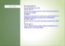하이네켄 마케팅 전략분석 16페이지