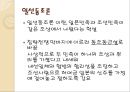 일제의 민족말살정책과 수탈정책  12페이지