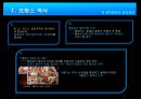 프랑스의 역사 & 기업문화 & 일반문화 [프랑스 절대왕정] 3페이지