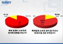 특허전쟁,특허전쟁과소비자권익,특허전쟁의원인 29페이지
