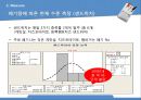편의점 신선제품 폐기량을 줄이기위한 6σ프로젝트,6시그마,6시그마전략,6시그마분석 16페이지