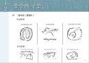 풍수지리-개념,사례,아파트 구조의 문제점,남향선호 6페이지